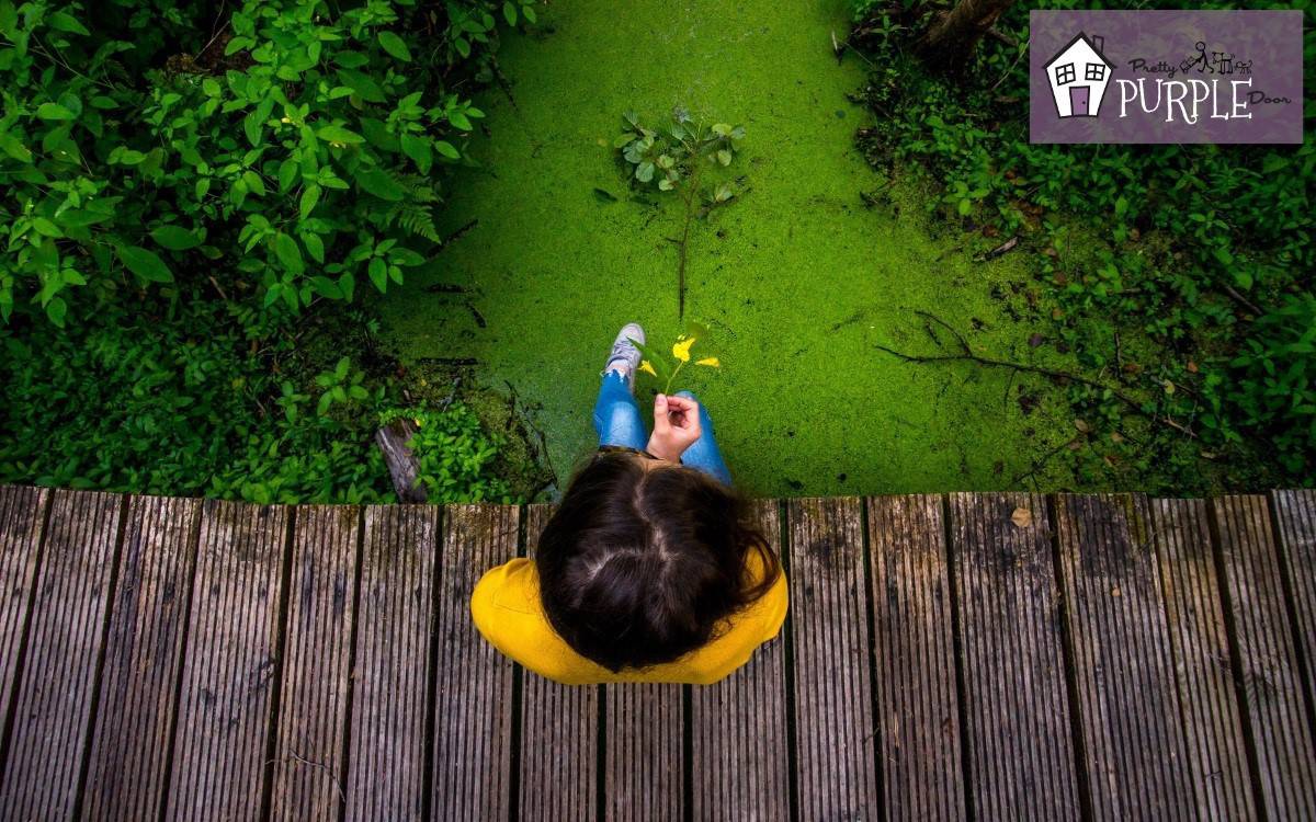 How to landscape your yard when you don't know anything