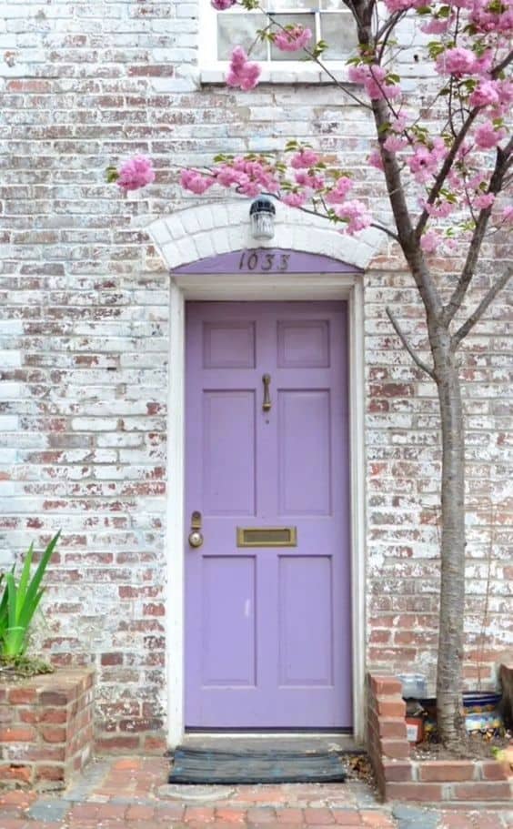 Lavender light purple front door with whitewashed brick and pink flowering tree.
