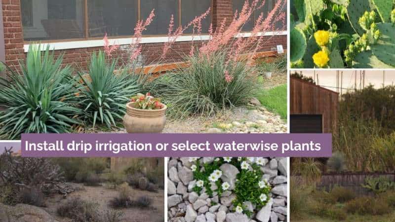 waterwise plants or drip irrigation can reduce landscape maintenance
