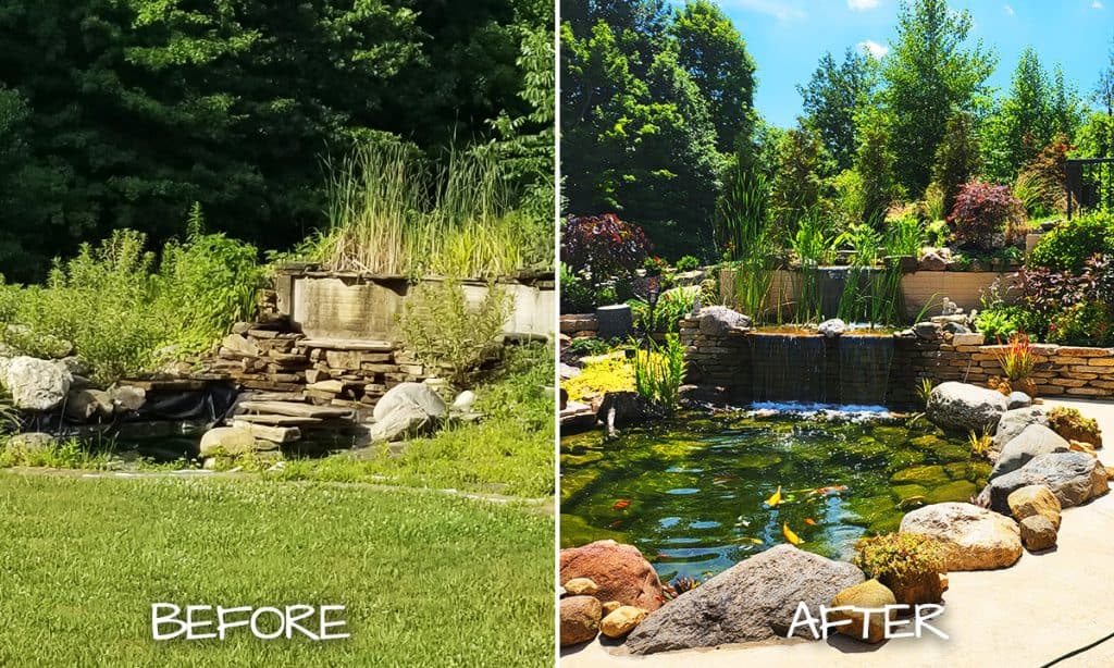 Marte's garden before & after