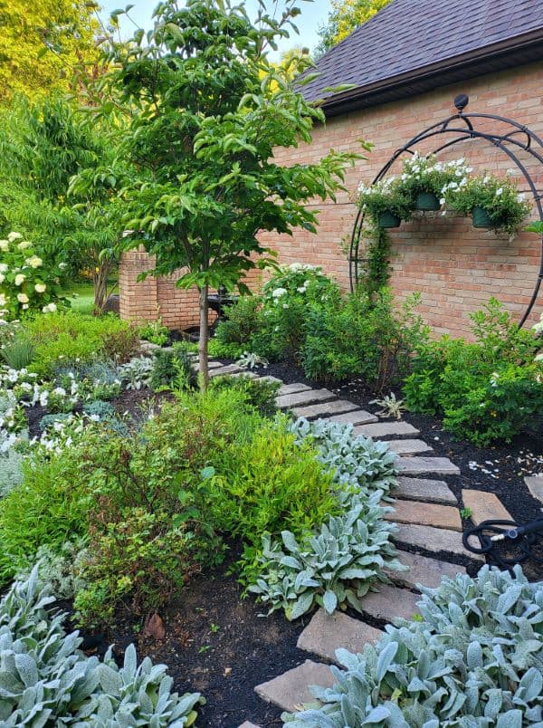 moon garden with green and blue plants