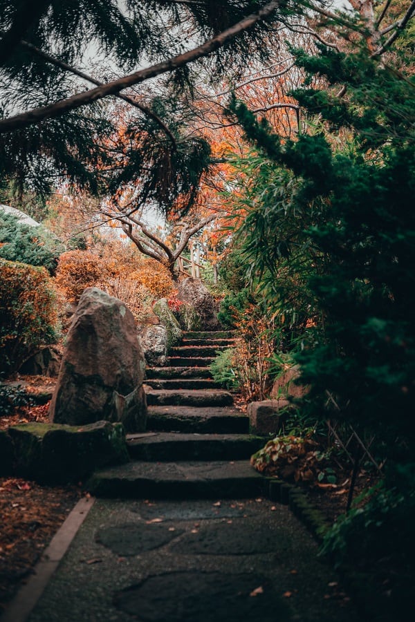 garden stone stair pathway leading to secluded space