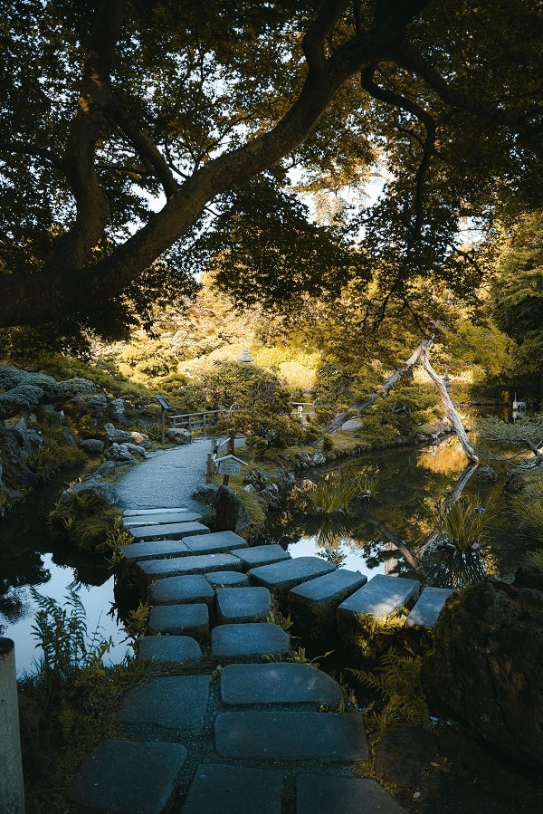 photo of a winding stepping stone pathway crossing a pond in a garden