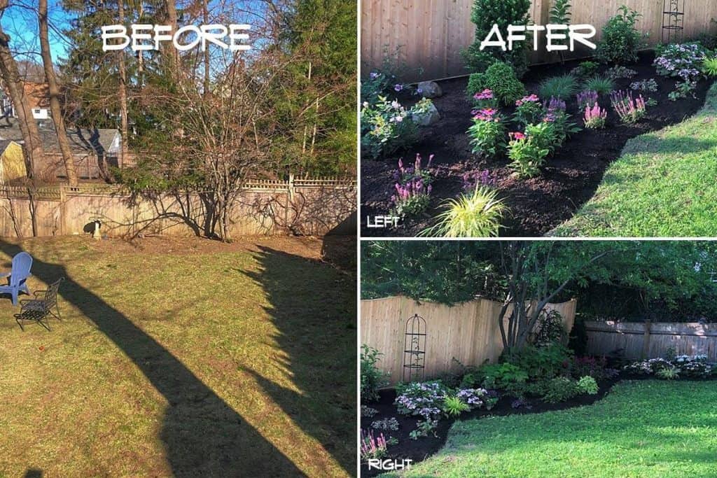 Backyard landscape design - before & after