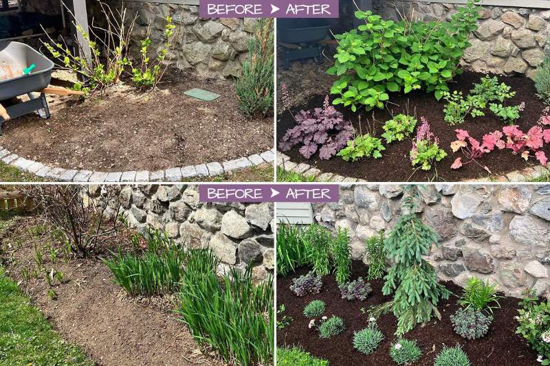 Before and after garden bed transformations
