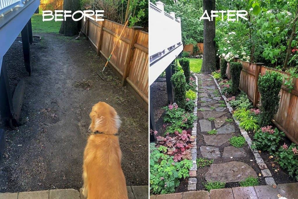 A muddy side yard becomes a beautiful shade garden path