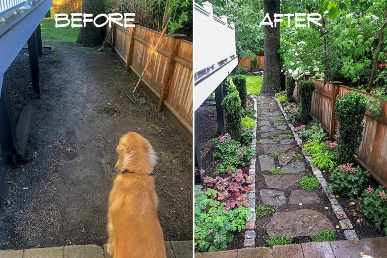 Garden Tour: Melissa’s Magical Shade Garden