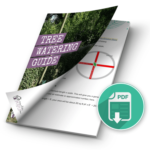 ebook mockup free download