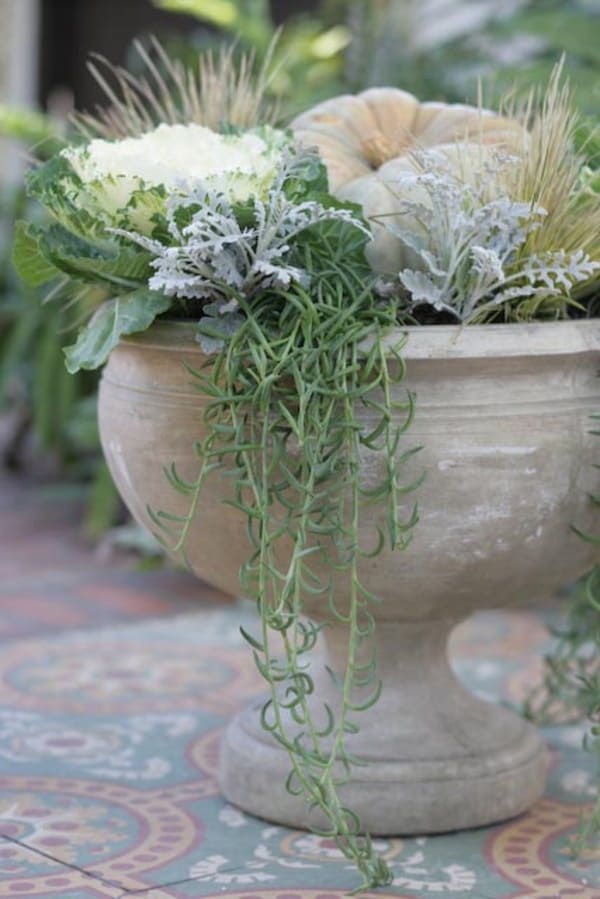 White urn planter with graceful plants spilling out