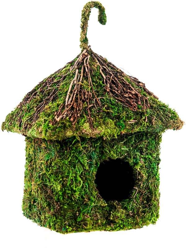 Moss bird house