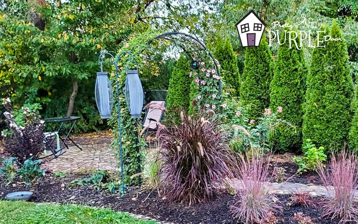 Designing a backyard garden deals