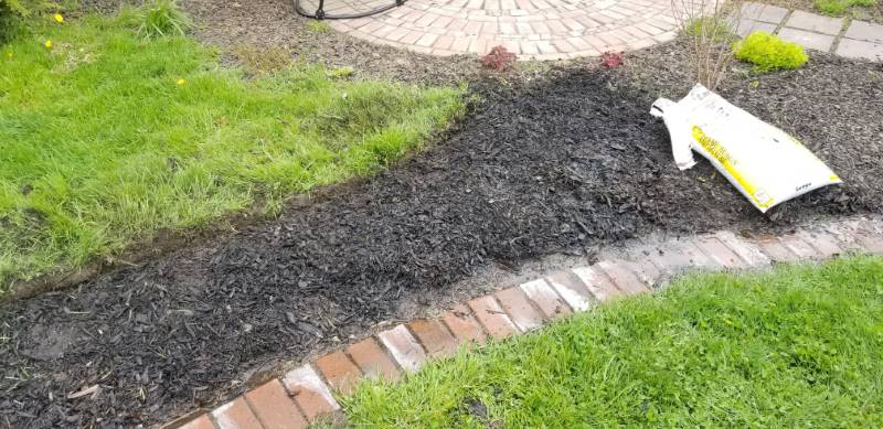 Garden bed no dig with paper, compost and mulch