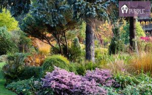 No dig flower bed featured image