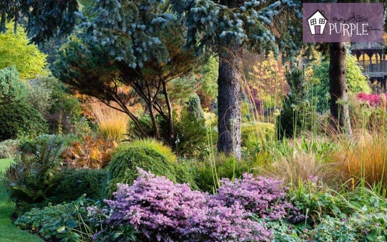 Easy No Dig Flower Bed – Create a Garden Right Over Your Grass!