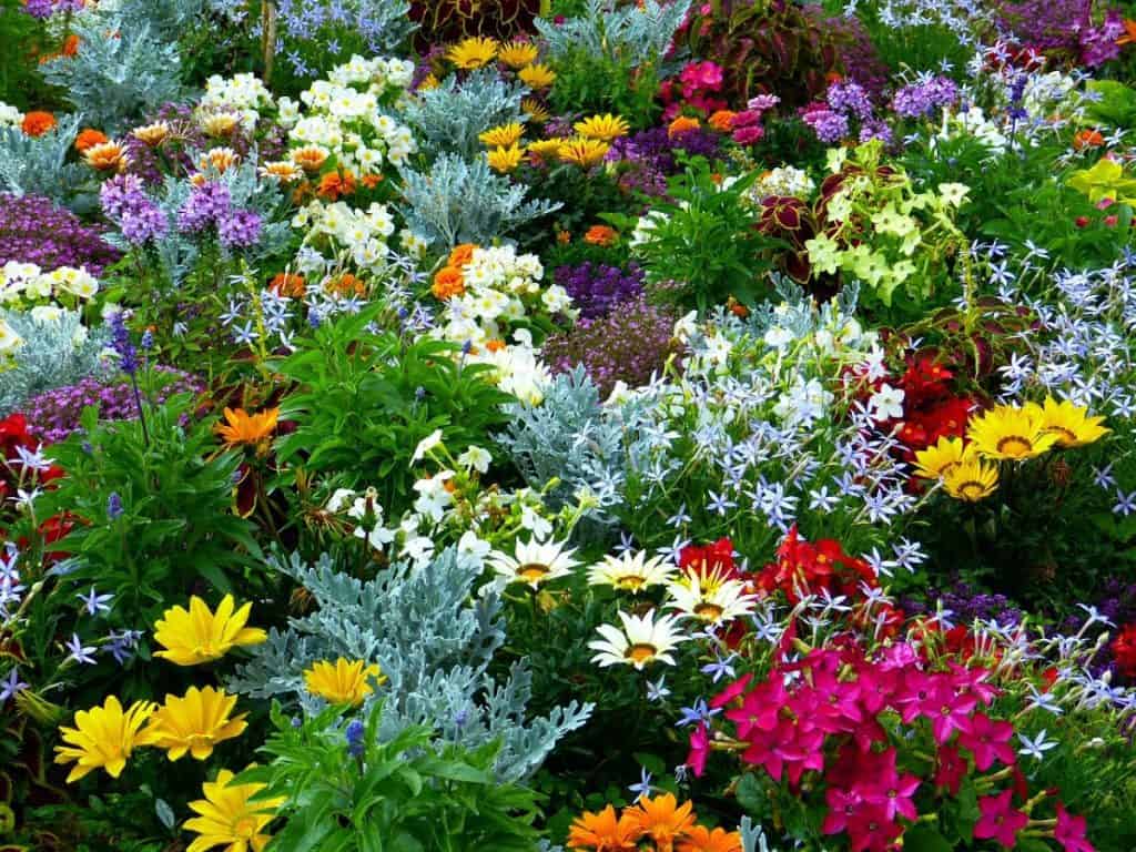 There are no garden color schemes in this design
