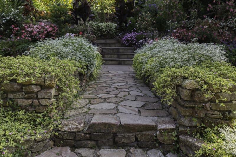stone path with retaining walls holding plants