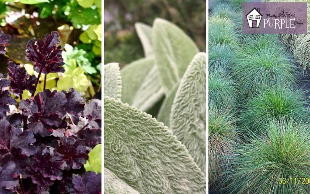 Plant Combinations: How to make unforgettable plant pairings
