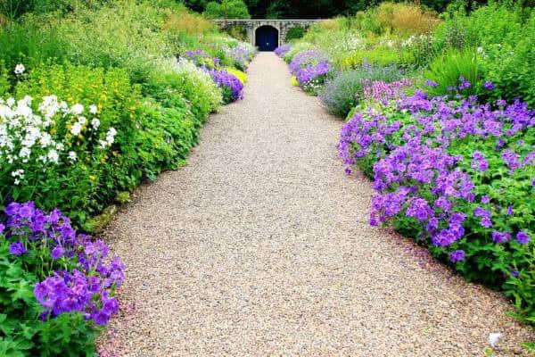drifts of purple, green and white plants along a path