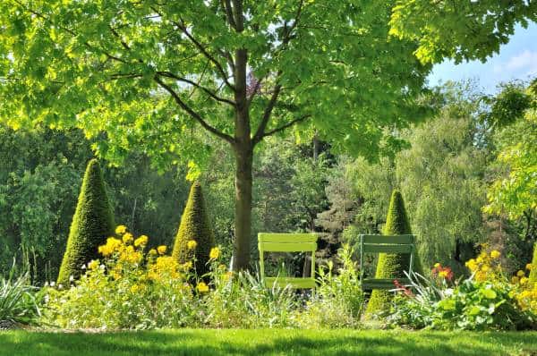 Peaceful garden space with benches under a tree