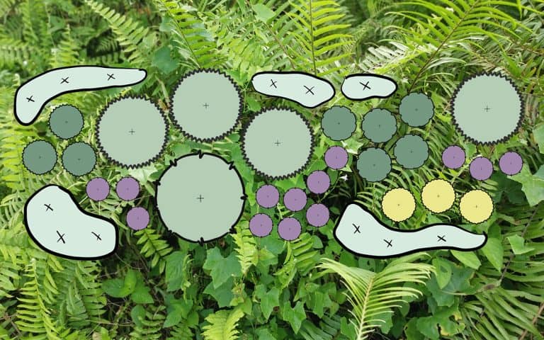Plant Spacing Made Simple: How to Space Plants the Right Way