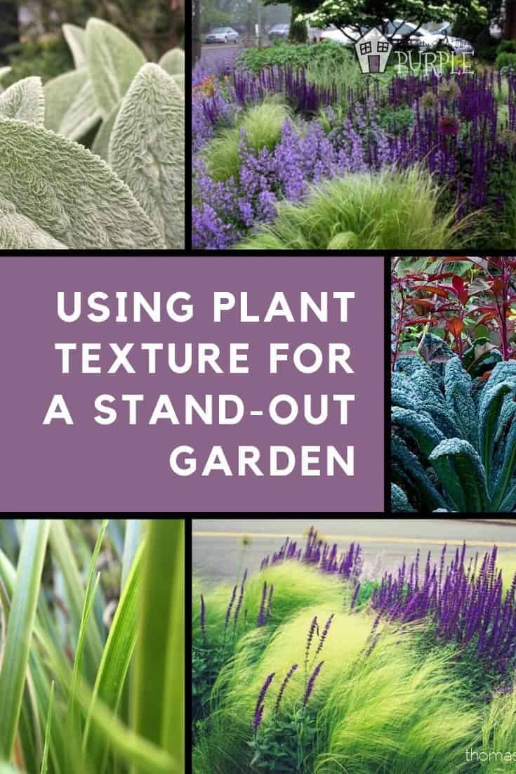 Using plnat texture for a stand-out garden design