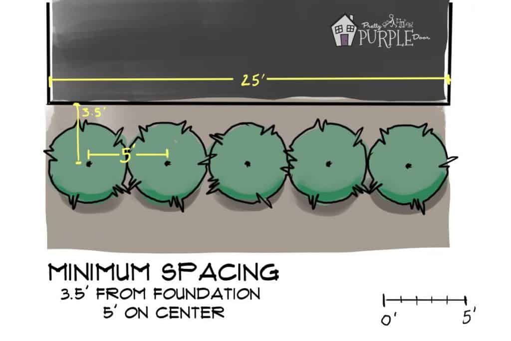 Illustration of planting plan with minimum spacing from home