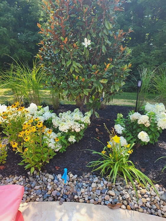 Marte's pool garden from the last designer 2