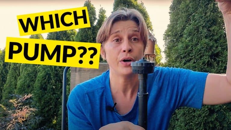 Electric vs. Solar Fountain Pumps – Which Is Right For You?