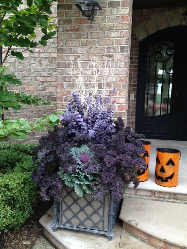 Planter in front of brick house with purple and lavender plants and jackolantern decor