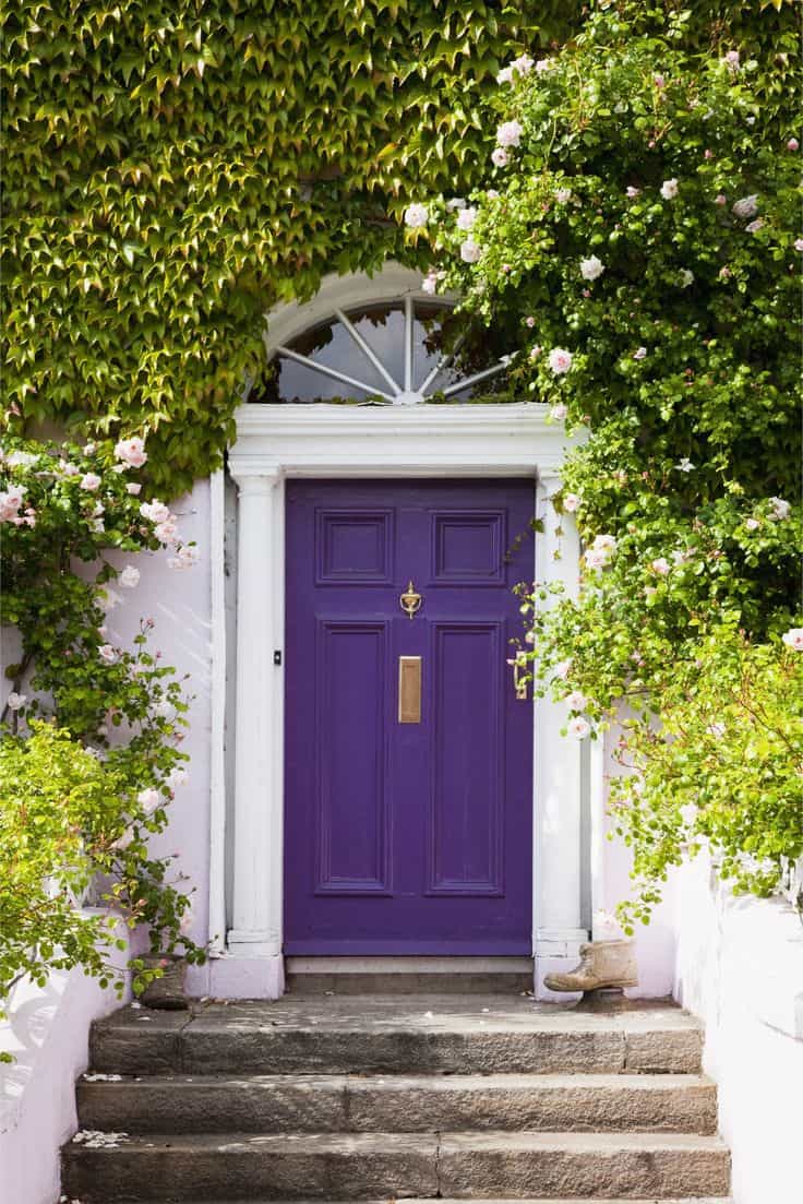 Could Fashionista 41D-4 be the most perfect purple to use for your front door?