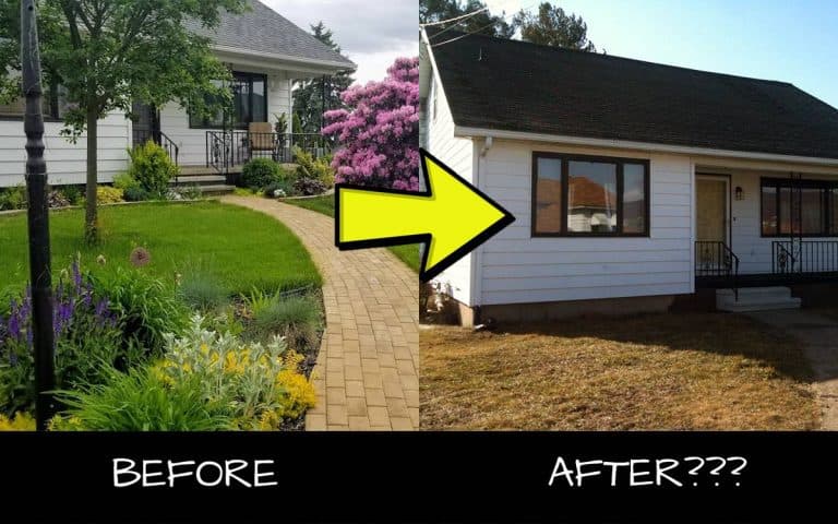 Redoing Your Landscaping? Read This Before Tearing Out “Old” Plants!