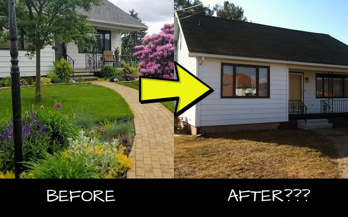 Before and After of Tearing Out Plants