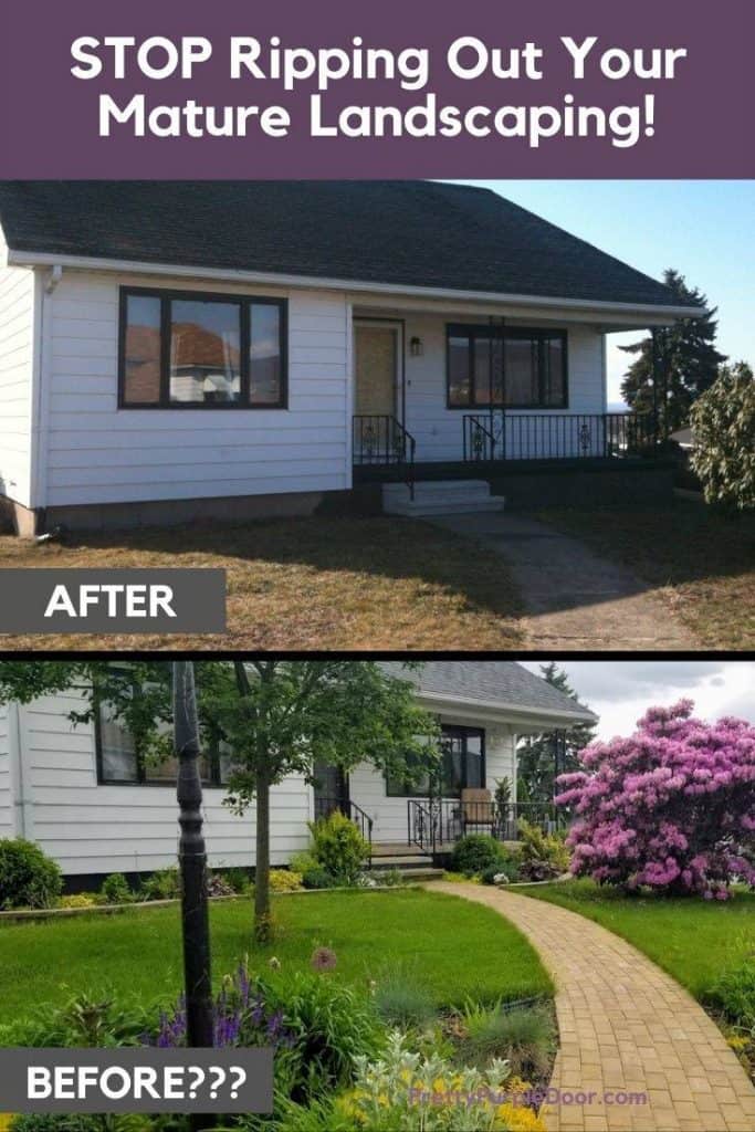 Stopping Ripping Out Your Mature Landscaping (Before and After)