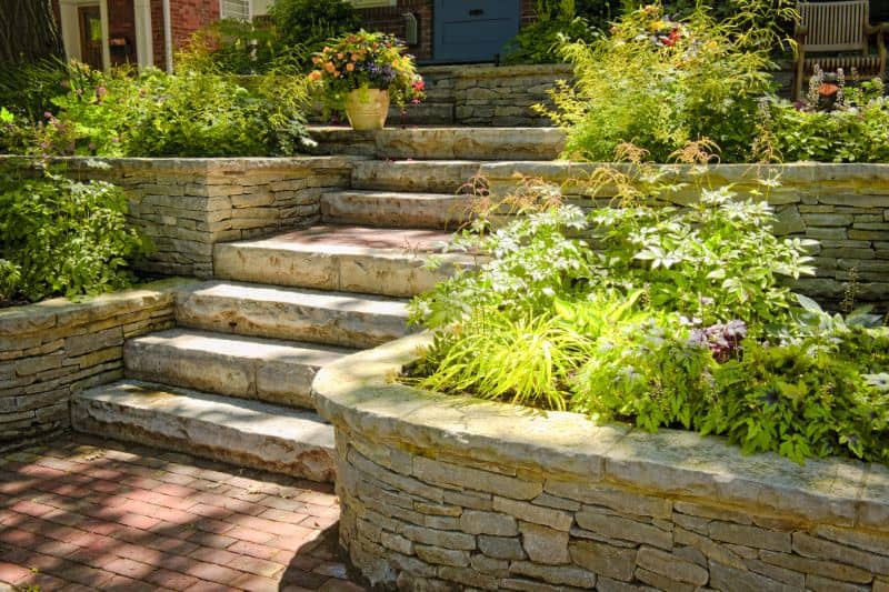 What is a Rain Garden and How to Build One in Your Yard