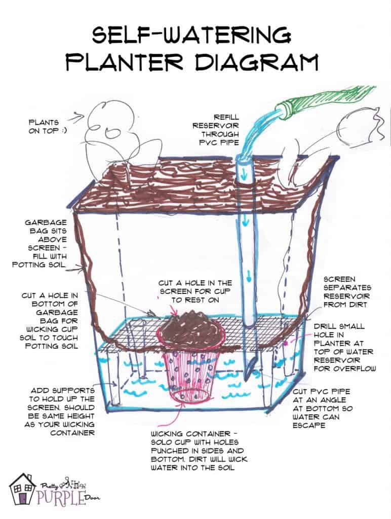 Self-Watering Planter Diagram - How it works