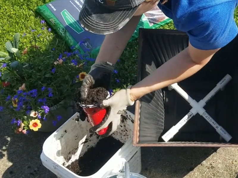 Pack Wicking Chamber cup with soil