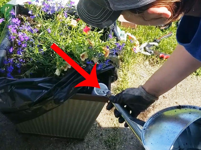 Pouring water into the reservoir of self-watering planter