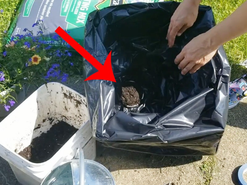 Wicking chamber soil comes through garbage bag