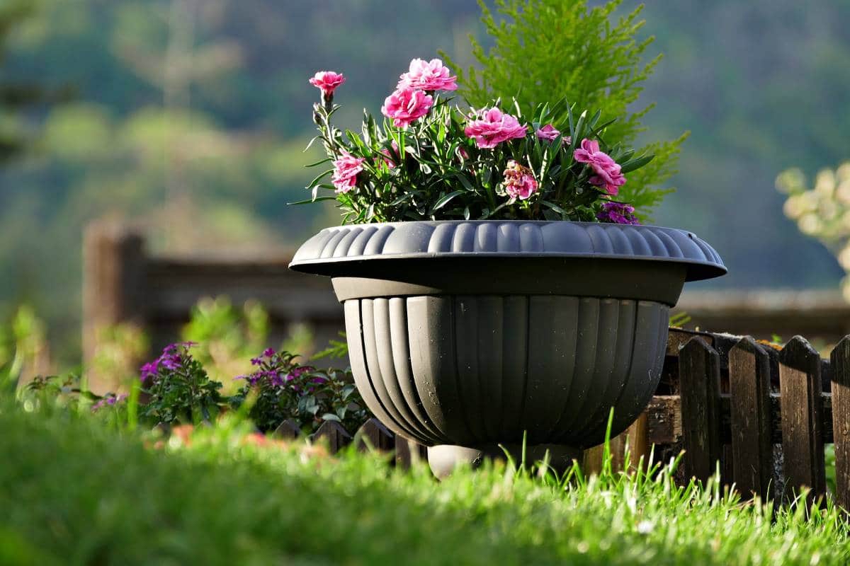 DIY Self Watering Planter