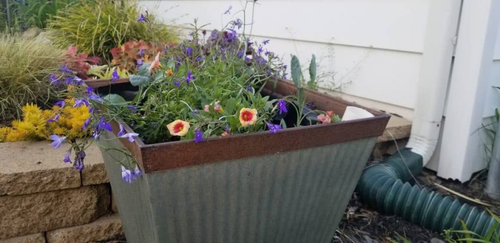 DIY Self Watering Planter