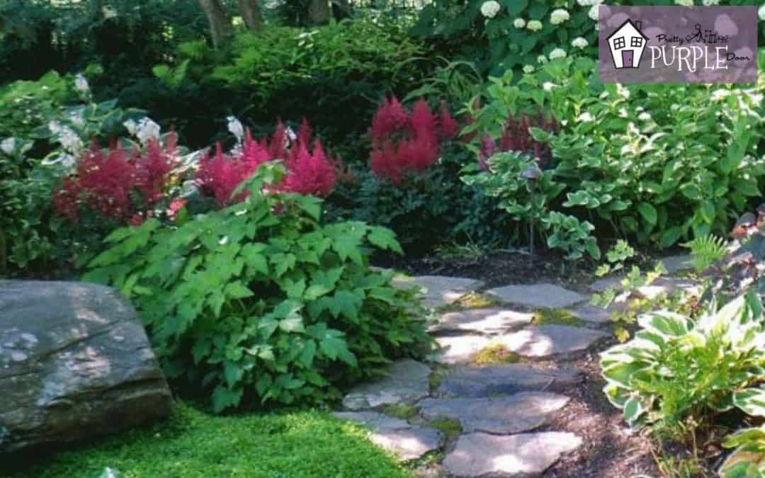 Stunning Plants For a Shady Landscape