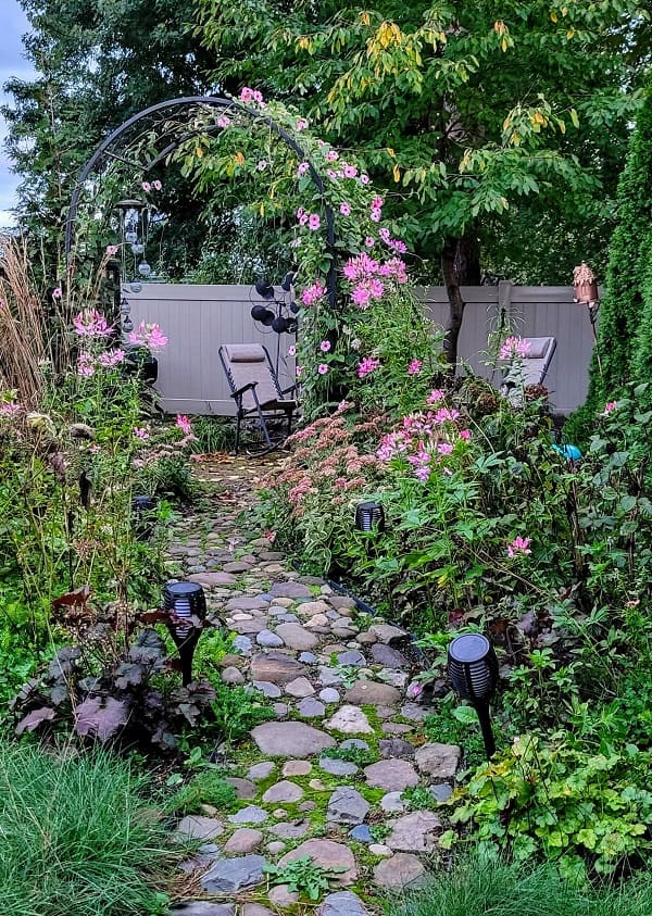 shrub hub review Amy's backyard