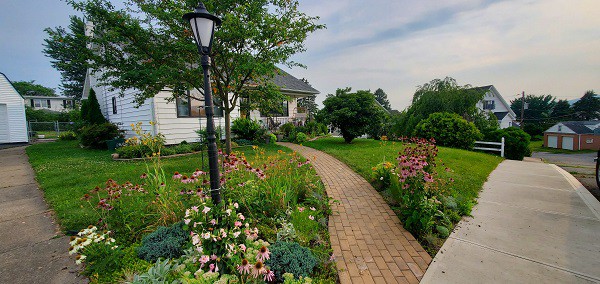 Photo of Amy's front yard that she provided to Shrub Hub