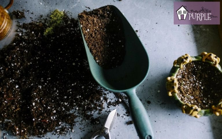 Soil Improvement Tips For Flower Beds