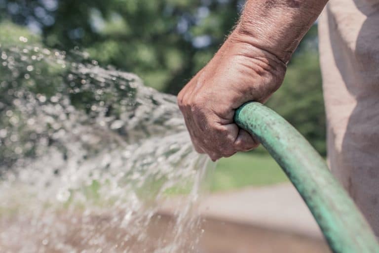 Garden Bed Watering Calculator – How Much To Water Your Plants Each Week