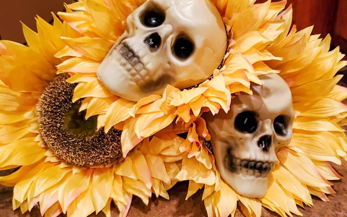 3 artificial sunflowers laying on ground with plastic skull heads on two of the facts
