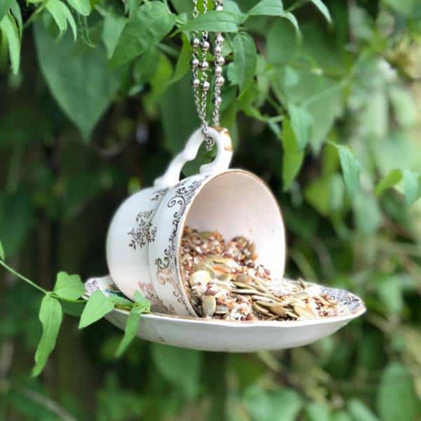 Teacup bird feeder