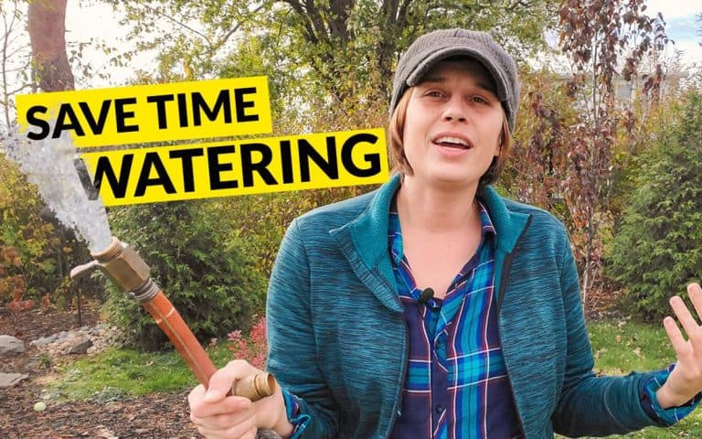 6 Watering Tools to Save Time & Effort in the Garden